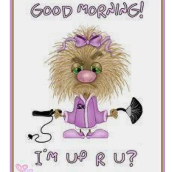 Meet your Posher, Donna - Picture 2 of 2